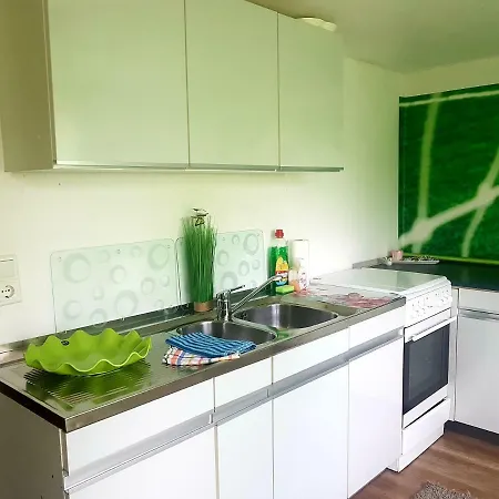 Apartment Fewo Heinrich Willingen (Upland)