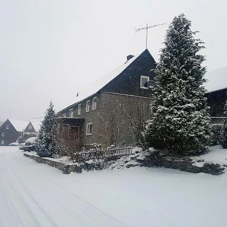 Apartment Fewo Heinrich Willingen (Upland)